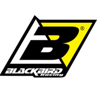 BLACKBIRD.jpg